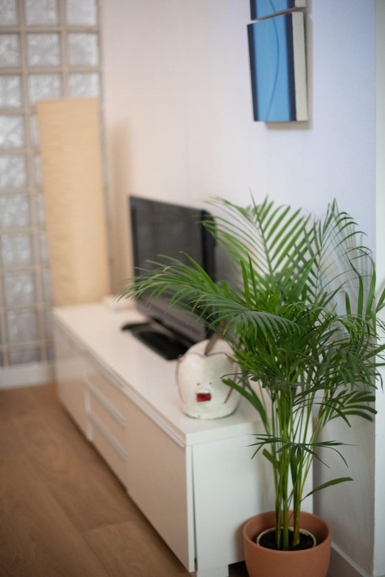 Cozy & Quiet Apartment In The Center Малага Екстериор снимка